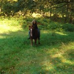 Hanne Gallops on her Horse Bare Back Up a Hill 