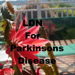 Natural Therapies for Parkinsons disease